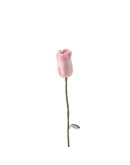 AVEVA DESIGN - ENDLESS FLOWER Tulip Pink
