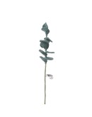 AVEVA DESIGN - ENDLESS FLOWER Eucalyptus - Dark green