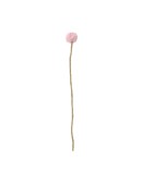 AVEVA DESIGN - ENDLESS FLOWER Blush thistle