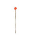 AVEVA DESIGN - ENDLESS FLOWER Coral pop thistle