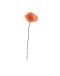 AVEVA DESIGN - ENDLESS FLOWER Poppy Orange