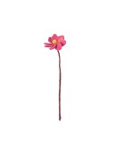 AVEVA DESIGN - ENDLESS FLOWER Dahlia Berry