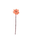 AVEVA DESIGN - ENDLESS FLOWER Dahlia Peach