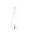 BALVI - Botanical Tulip Bottle