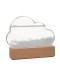 BITTEN - Storm Cloud Weather Predictor