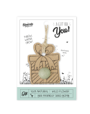 BLOSSOMBS - Celebrate hanger Gift for you (incl 1 Blossomb)