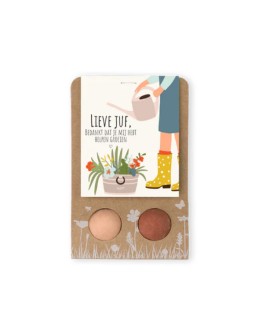 BLOSSOMBS - Weggeefcadeautje "LIEVE JUF" met 2 bloembommetjes