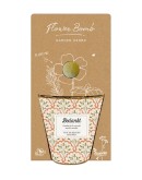 BLOSSOMBS - Grow Kit “Bedankt” met Tuin- en Keukenkruiden Mix