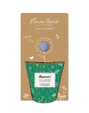 BLOSSOMBS - Grow kit "Bloemen!" met Laagbloeiende Mix 