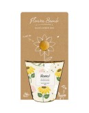 BLOSSOMBS - Grow Kit “Hoera!” met Zonnebloem Mix