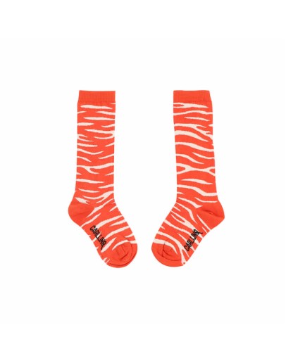 CARLIJN Q - Kniekous Red tiger