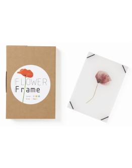 STUDIO CARMELA BOGMAN - Flowerframe SMALL - Transparant white