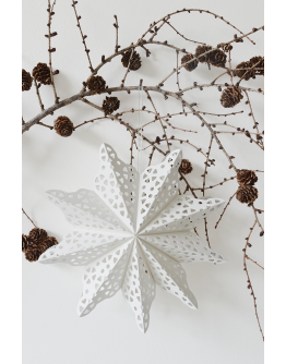 DELIGHT DEPARTMENT - Snowflake star white - 22 cm