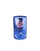 DONKEY PRODUCTS - Lucky Cat| Glossy Pink