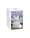 DONKEY PRODUCTS - Lucky Cat| White