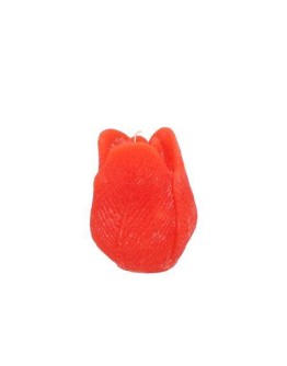 Kaars Tulp Oranje - 8 cm