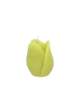 Kaars Tulp Limegroen - 8 cm