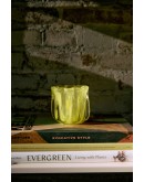 HK LIVING - Corolla candle holder lime