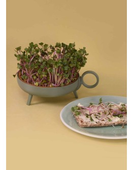 STUDIO HARM & ELKE - Sprouting planter | Green