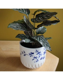 HEINEN DELFTSBLAUW - Blauw Vouw Bloempot
