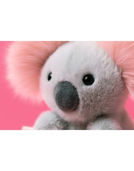 JELLYCAT - Koala with Message