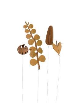 JURIANNE MATTER - FIELD flowers – small browns