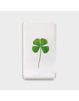 &KLEVERING - Cube lucky clover