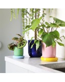 &KLEVERING - Planter churros green