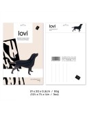 LOVI - Labrador Black - Medium