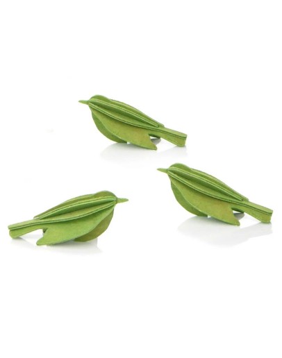 LOVI - Mini Birds Light Green - XS