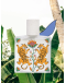 MAISON MATINE - Eau de parfum, 50ml - Into The Wild