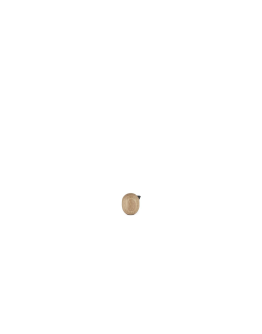NORMANN COPENHAGEN - Little Bird 3 cm Oak