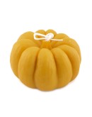 Pompoen Soyakaars Oker