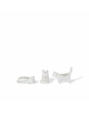 RÄDER -  Fellow Cats RÄDER -  Fellow Cats