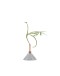 SCANDINAVIAFORM - Consilium vaas Glacier grey