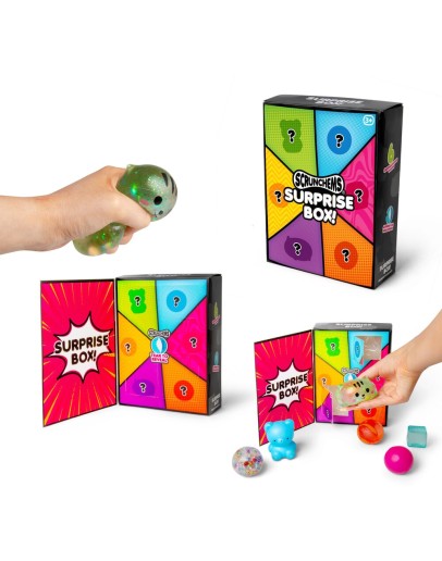 SCRUNCHEMS - Squishy 6 Surprise Box