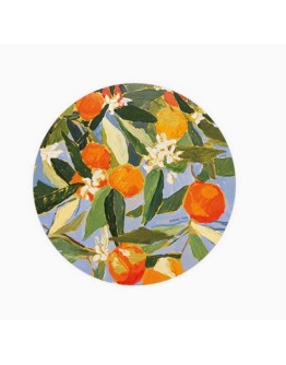 SEEDLINGS - Onderzetter Sunny Oranges