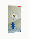 STUDIO ROOF - Daisy STUDIO ROOF - Daisy