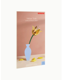 STUDIO ROOF - Yellow Tulip