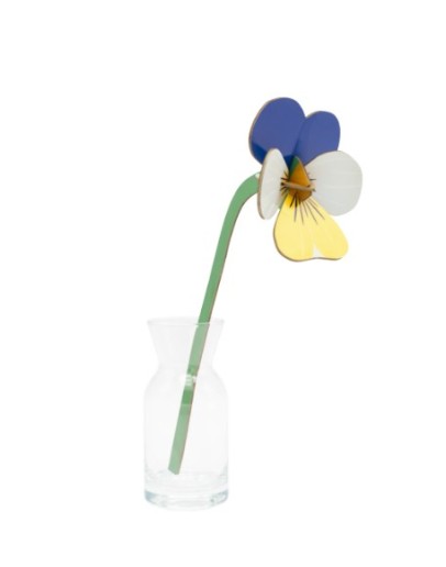 STUDIO ROOF - Wild Pansy STUDIO ROOF - Wild Pansy