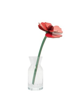 STUDIO ROOF - Red Rose