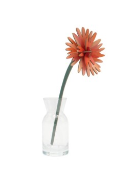 STUDIO ROOF - Orange Dahlia