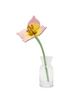 STUDIO ROOF - Blushing Tulip