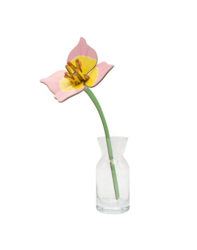 STUDIO ROOF - Blushing Tulip STUDIO ROOF - Blushing Tulip