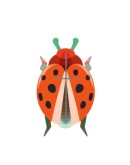 STUDIO ROOF - Coccinelle Rouge