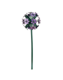 STUDIO ROOF - Allium STUDIO ROOF - Allium