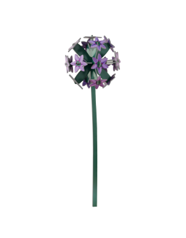 STUDIO ROOF - Allium