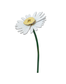 STUDIO ROOF - Daisy STUDIO ROOF - Daisy