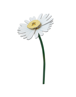 STUDIO ROOF - Daisy