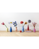 STUDIO ROOF - Allium STUDIO ROOF - Allium